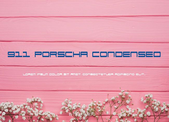 911 Porscha Condensed example